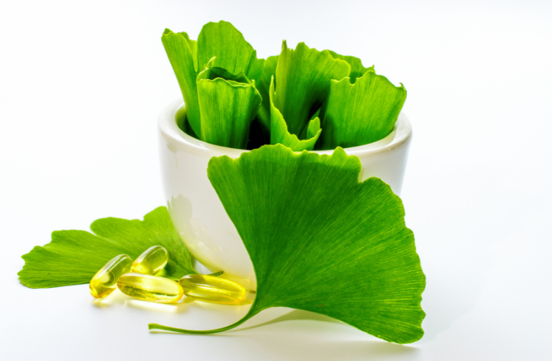 Ginkgo biloba 1